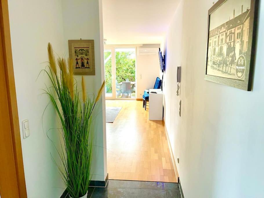Schoene Wohnung Mit Eigenen Eingang Und Terrasse Gosseling Dış mekan fotoğraf
